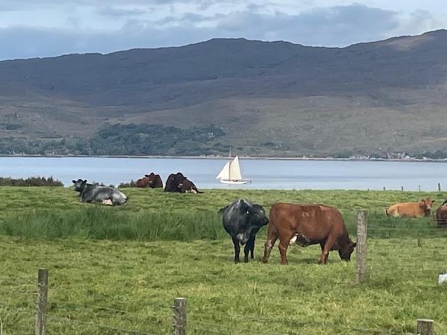 Plockton, Camus Fearn Barn Villa Kültér fotó